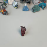 بروش طبي نصفين بين العقل والقلب