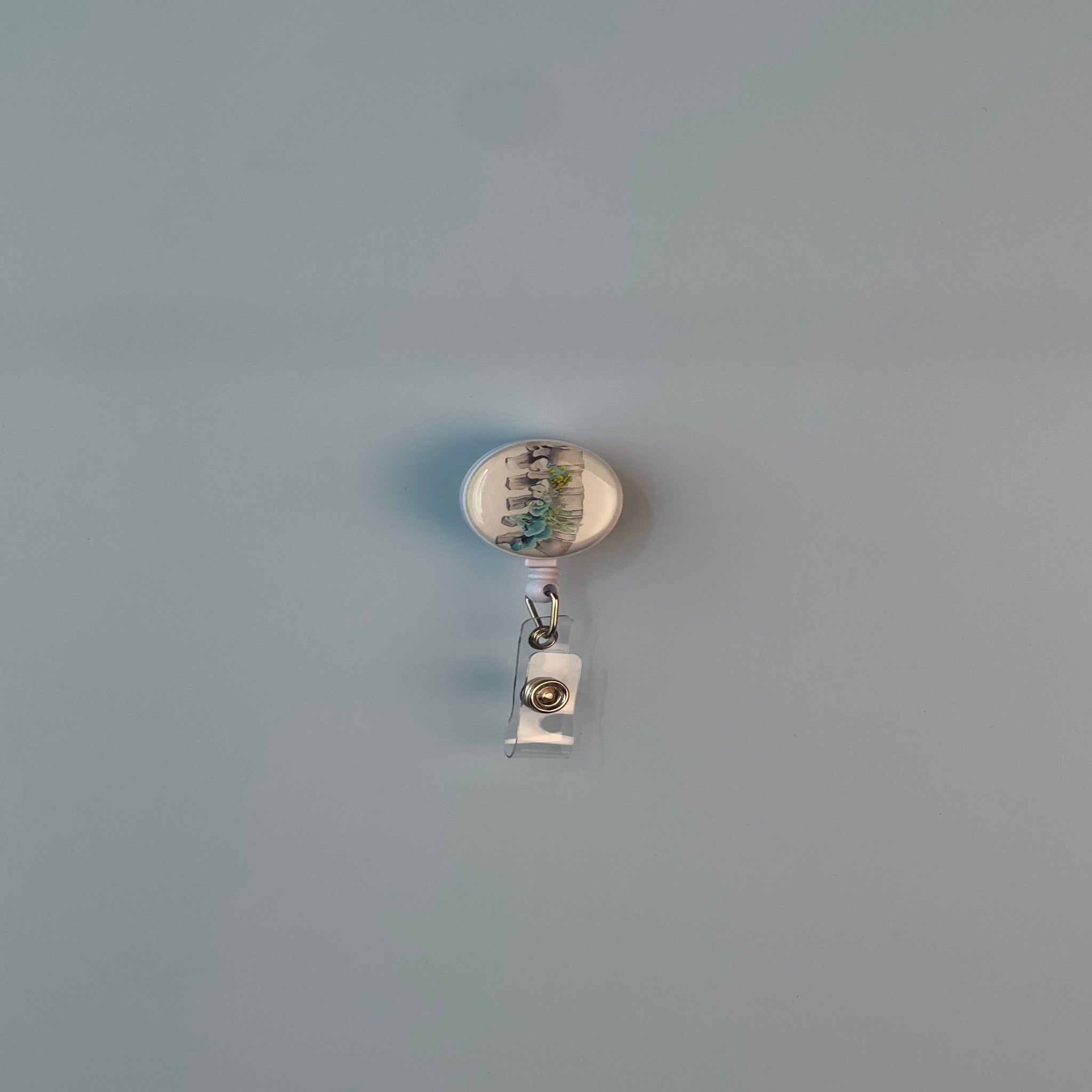 مثبت شارة على شكل عمود فقري